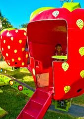 Strawberry Ride.jpg